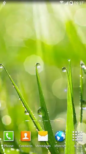 Play Spring Live Wallpaper HD Play Spring Live Wallpaper HD