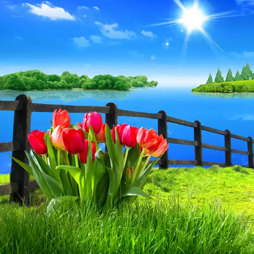 Play Spring Live Wallpaper APK Play Spring Live Wallpaper APK