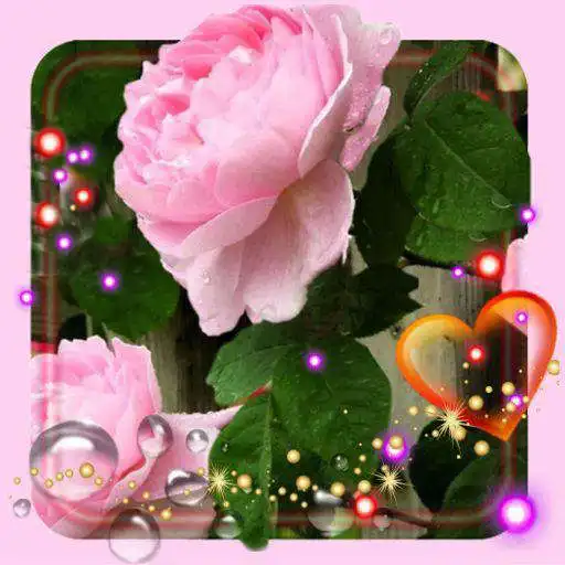 Play Spring Love LWP APK