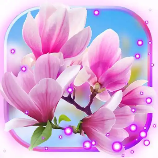 Free play online Spring Magnolia live wallpaper APK Free play online Spring Magnolia live wallpaper APK