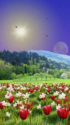 Play Spring Meadow Free  and enjoy Spring Meadow Free with UptoPlay