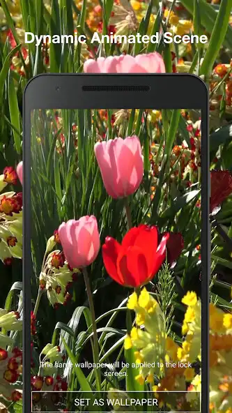 Play Spring Nature Wallpaper Pro as an online game Spring Nature Wallpaper Pro with UptoPlay