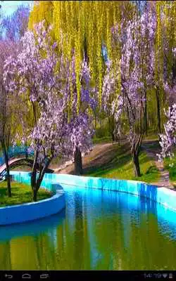Play Spring Park of Blooming Sakura