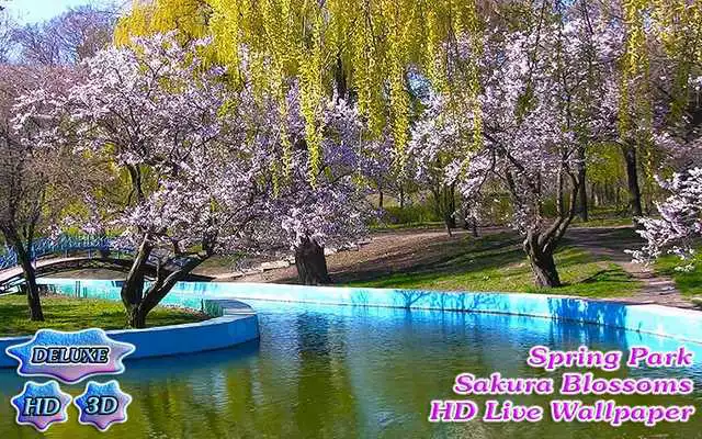 Play Spring Park of Blooming Sakura
