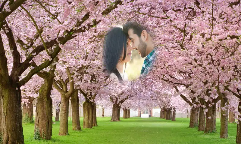 Play Spring Photo Frames HD Play Spring Photo Frames HD