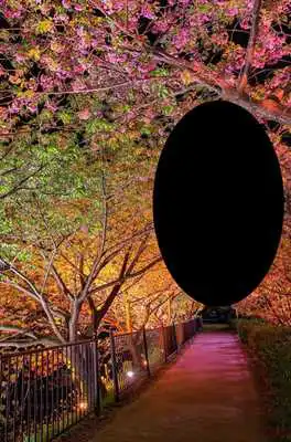Play Spring Photo Frames HD Play Spring Photo Frames HD