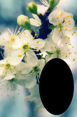 Play Spring Photo Frames HD Play Spring Photo Frames HD