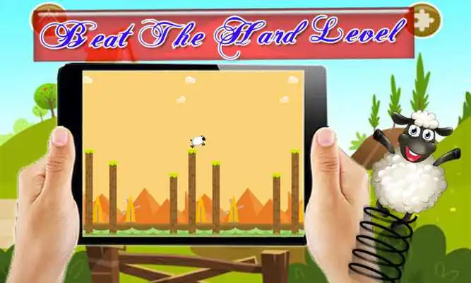 Play Spring Sheep OP