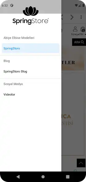 Play SpringStore as an online game SpringStore with UptoPlay