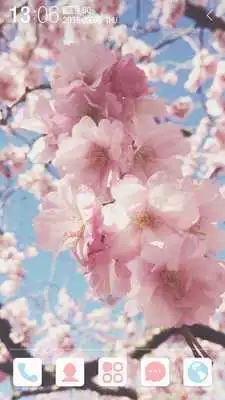 Play Spring story