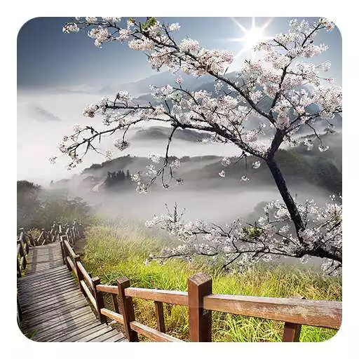 Run free android online Spring Sunrise Live Wallpaper APK Run free android online Spring Sunrise Live Wallpaper APK