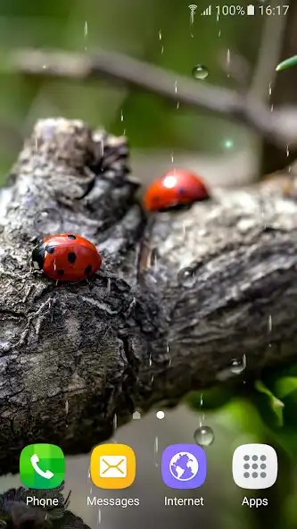 Play Springtime Live Wallpaper as an online game online Springtime Live Wallpaper with UptoPlay Play Springtime Live Wallpaper as an online game Springtime Live Wallpaper with UptoPlay