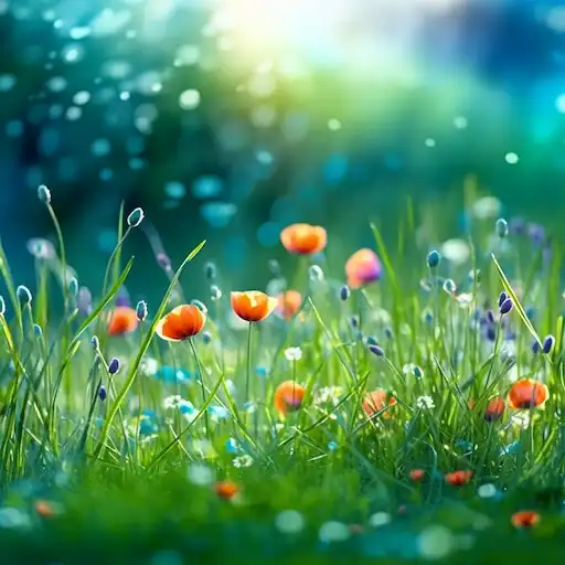 Play Spring Wallpapers 2023 HD APK Play Spring Wallpapers 2023 HD APK