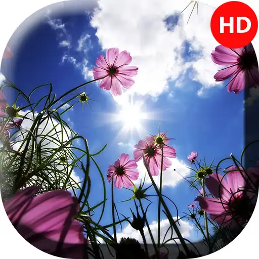 Play Spring Wallpapers - 4k  Full HD Wallpapers APK