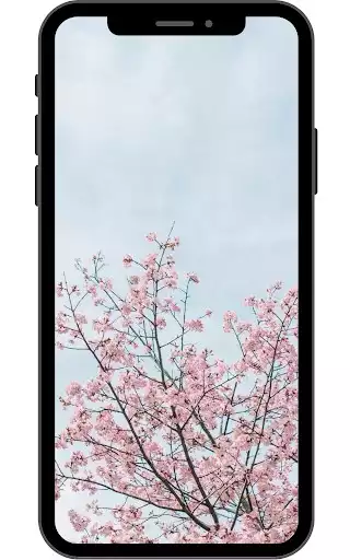 Play Spring Wallpaper