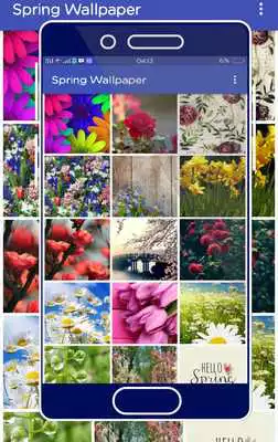 Play Spring Wallpaper