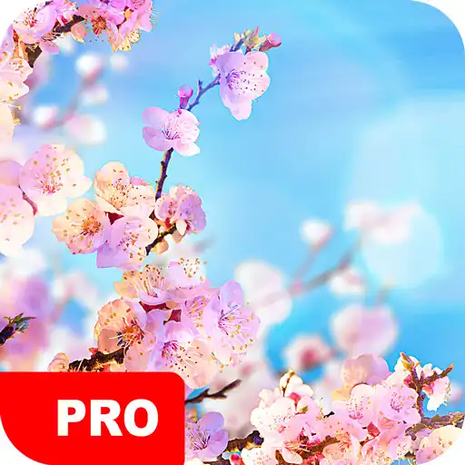 Play Spring Wallpapers PRO APK