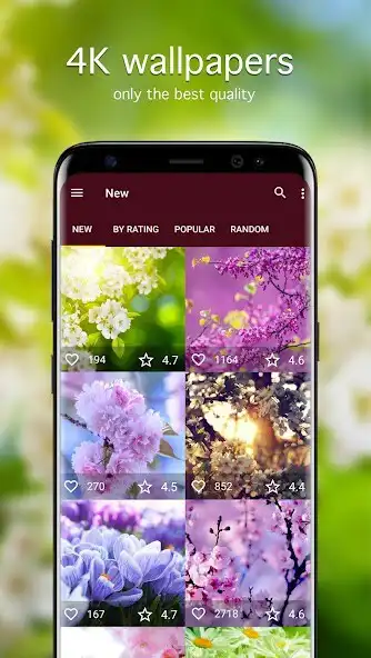 Play Spring Wallpapers PRO  and enjoy Spring Wallpapers PRO with UptoPlay