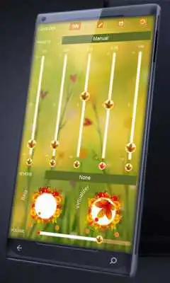 Play Spring wind PlayerPro Skin