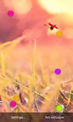 Play Sprit New Live Wallpaper
