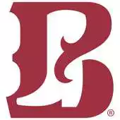 Free play online SPURS APK