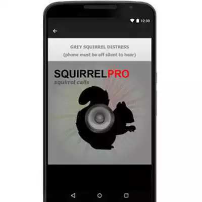 Play Squirrel Call-Squirrel Hunting