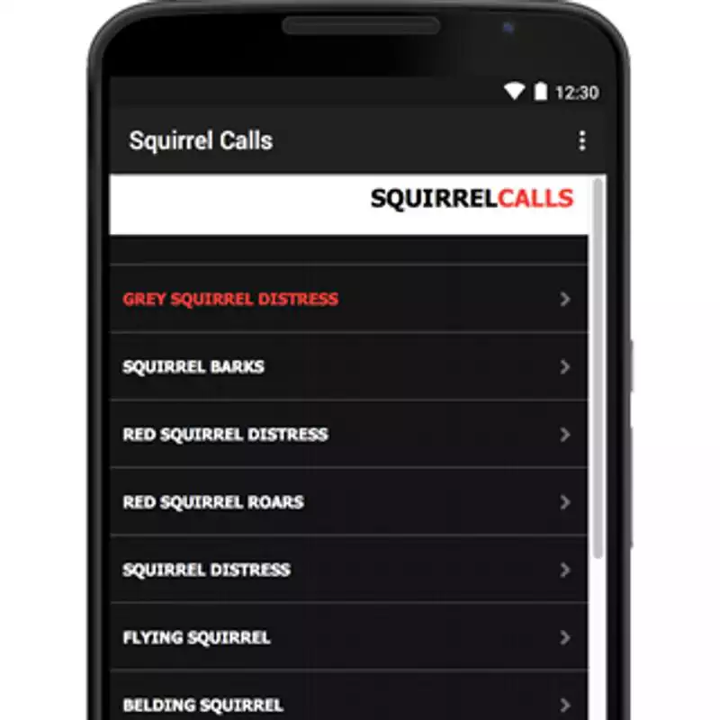 Play Squirrel Call-Squirrel Hunting