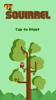 Play Squirrel Dodge