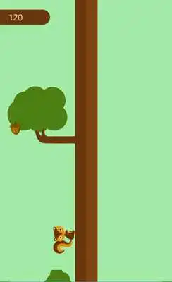Play Squirrel Dodge