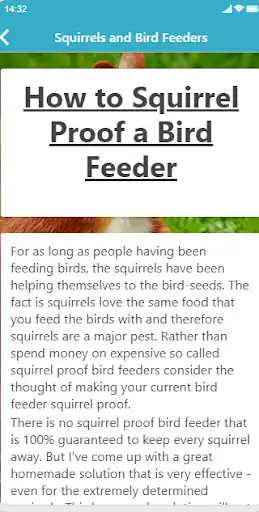 Play Squirrel Fun Facts as an online game Squirrel Fun Facts with UptoPlay