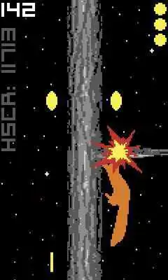 Play SquirrelGo