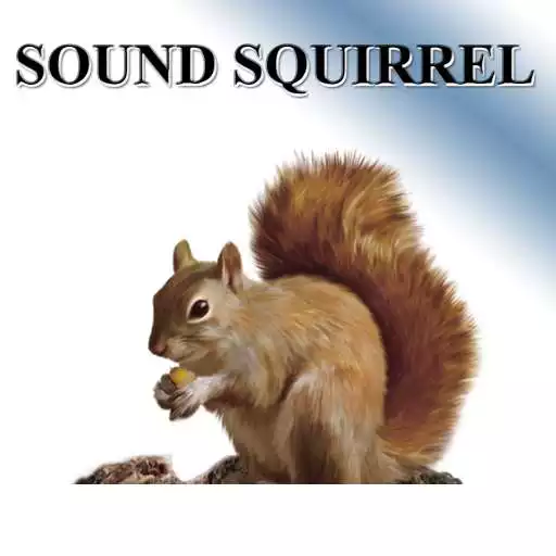 Play Squirrel APK Play Squirrel APK