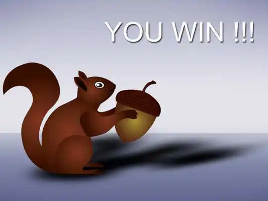 Play Squirrel pro Play Squirrel pro