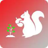 Free play online Squirrel Recovery; Addiction APK