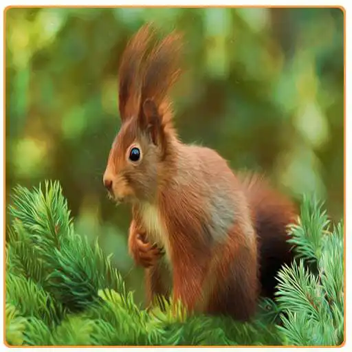 Play Squirrel Run Flying  and enjoy Squirrel Run Flying with UptoPlay