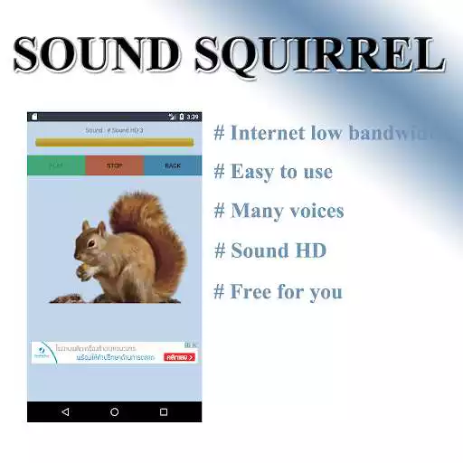 Play Squirrel as an online game Squirrel with UptoPlay