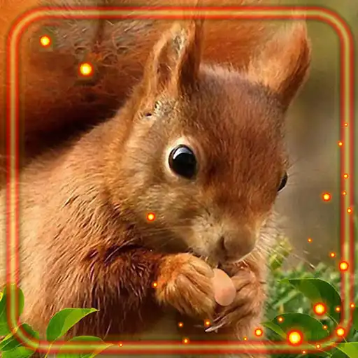 Play Squirrels Forest HD APK Play Squirrels Forest HD APK