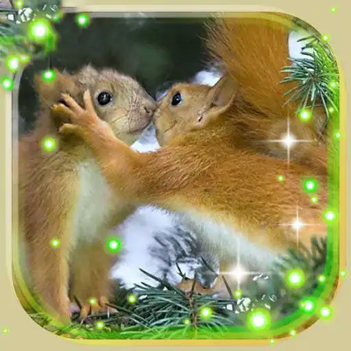Free play online Squirrels Gallery APK