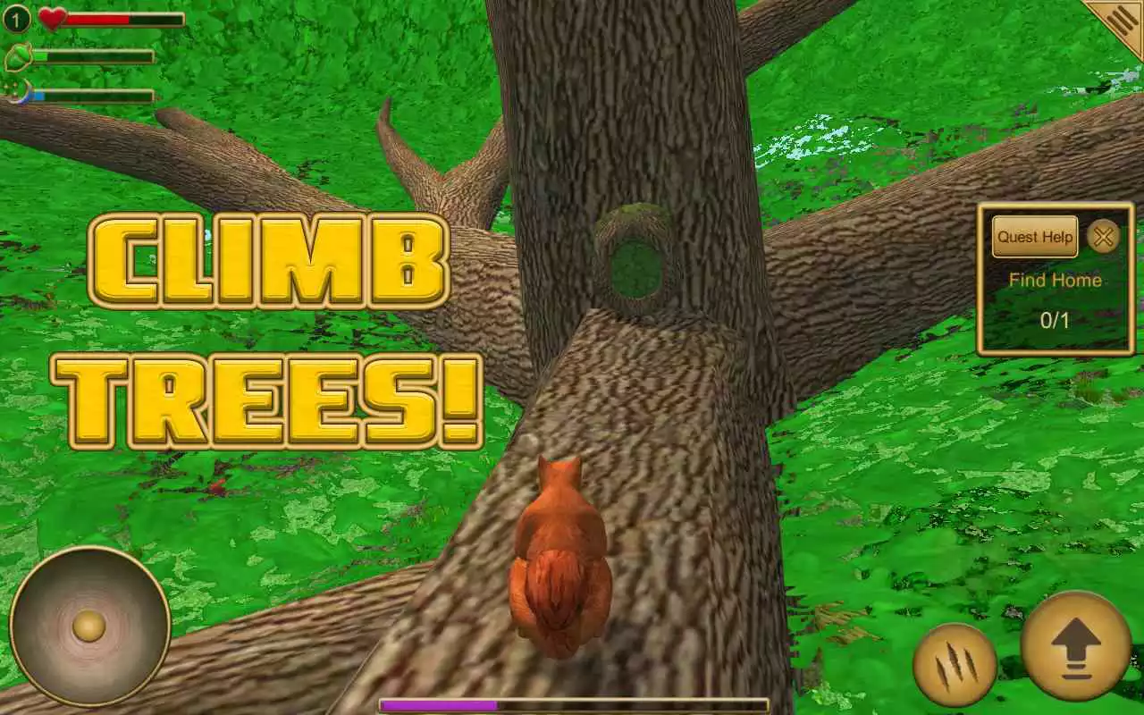 Play Squirrel Simulator