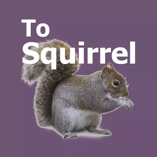 Play Squirrel sound APK Play Squirrel sound APK