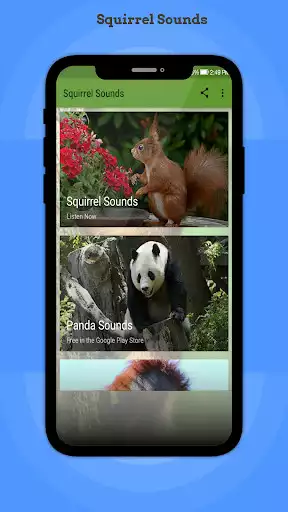 Play Squirrel Sounds  and enjoy Squirrel Sounds with UptoPlay