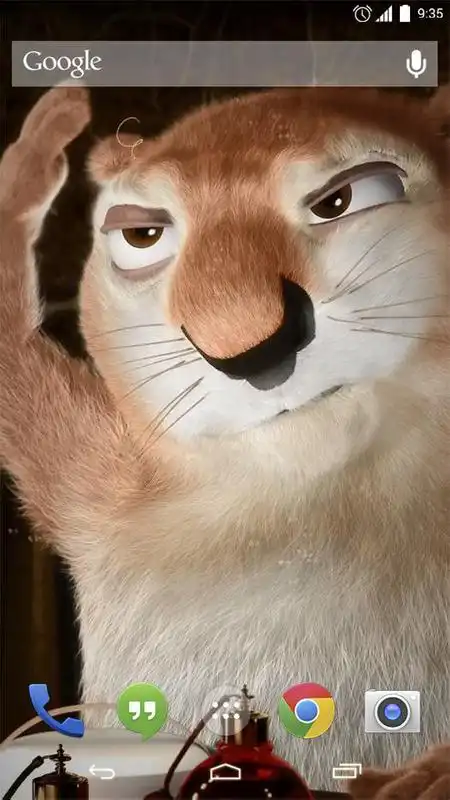Play Squirrel Top Star LiveWP