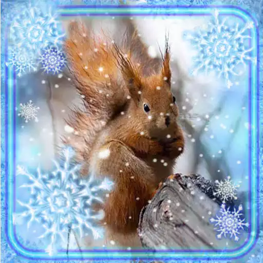 Play Squirrel Winter Live Wallpaper APK Play Squirrel Winter Live Wallpaper APK