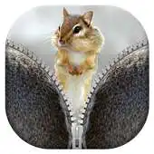 Free play online Squirrel Zipper Lock Screen APK