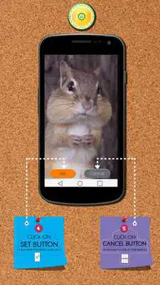 Play Squirrel Zipper Lock Screen