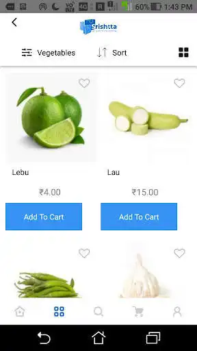 Play SRISHTTA as an online game SRISHTTA with UptoPlay