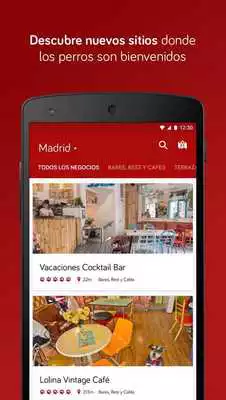 Play SrPerro as an online game SrPerro with UptoPlay