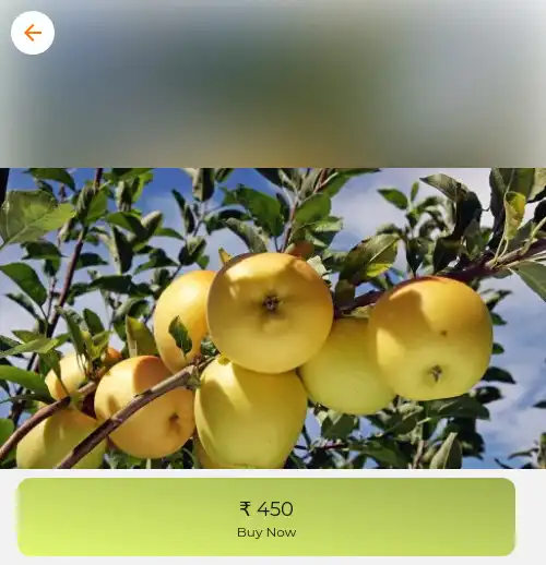 Play SSBIOPLANT as an online game SSBIOPLANT with UptoPlay