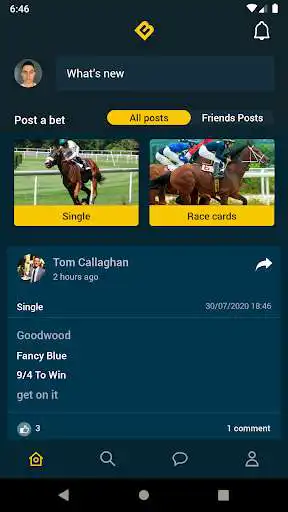 Play StableMate as an online game StableMate with UptoPlay