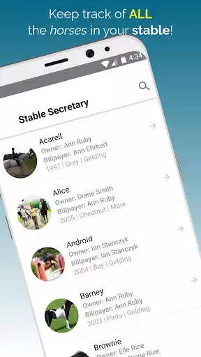 Play Stable Secretary